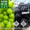 ��������껺��ľ�� JA�ե롼�Ļ��� ���㥤��ޥ����åȡ��ԥ����� 2�糧�å� ���� ��˼2˼�� ����Ȣ (��550g��2˼������̵�� 