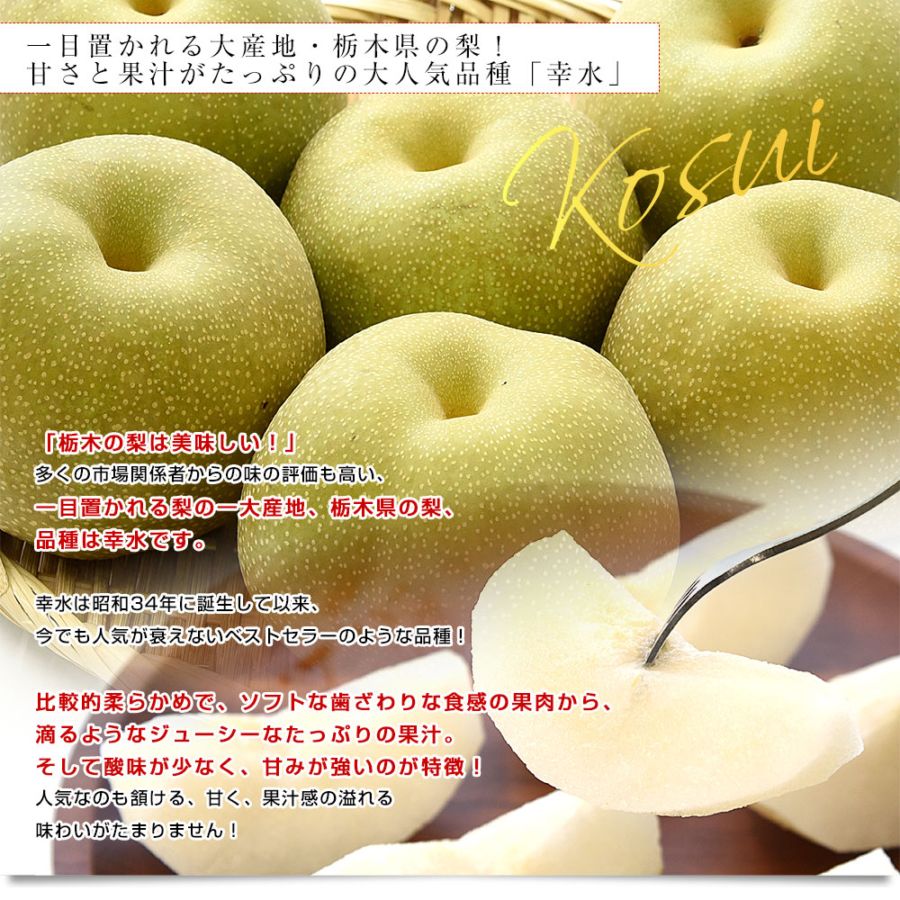 栃木県産 「梨」 品種：幸水 1.8キロ以上 (6玉) 送料無料 なし ナシ 幸