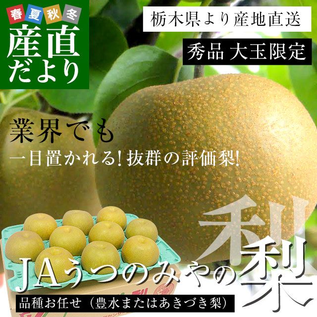 ���ڸ���껺��ľ�� JA���ĤΤߤ���� ��̸��� �ʼ浪Ǥ����˭��ޤ��Ϥ����Ť�����4L�������ʾ� ���� ��5���� (7�̤���12��) ����̵�� 