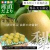 ���ڸ���껺��ľ�� JA���ĤΤߤ���� ��̸��� �ʼ浪�ޤ�����˭��ޤ��Ϥ����Ť��� 4L�������ʾ� ���� ��5���� (7�̤���12��) ����̵��