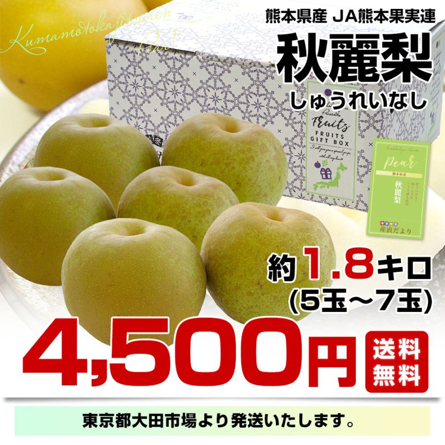 熊本県産 JA熊本果実連 秋麗梨 （しゅうれいなし） 約1.8キロ（5