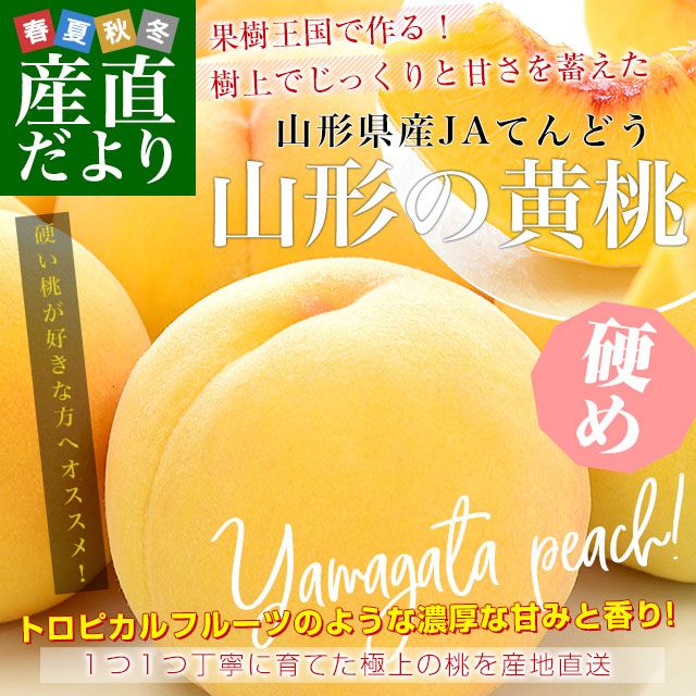 ���������黺��ľ�� JA�Ƥ�ɤ� �����β��� �����ʼ� (�ʼ�����ޡ������Τ����¾) ���� ��3���� (8�̤���12��) ����̵�� �� ��� ���