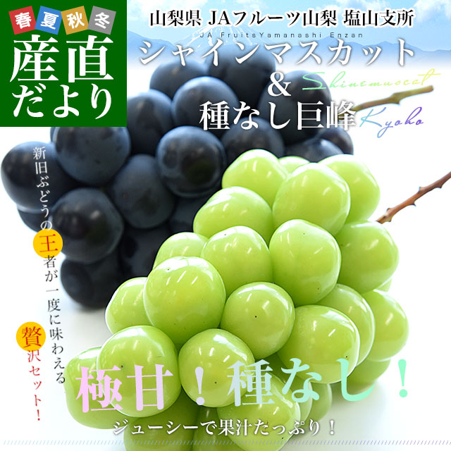 山梨県産 JAフルーツ山梨 塩山支所 シャインマスカット＆種なし巨峰 2L