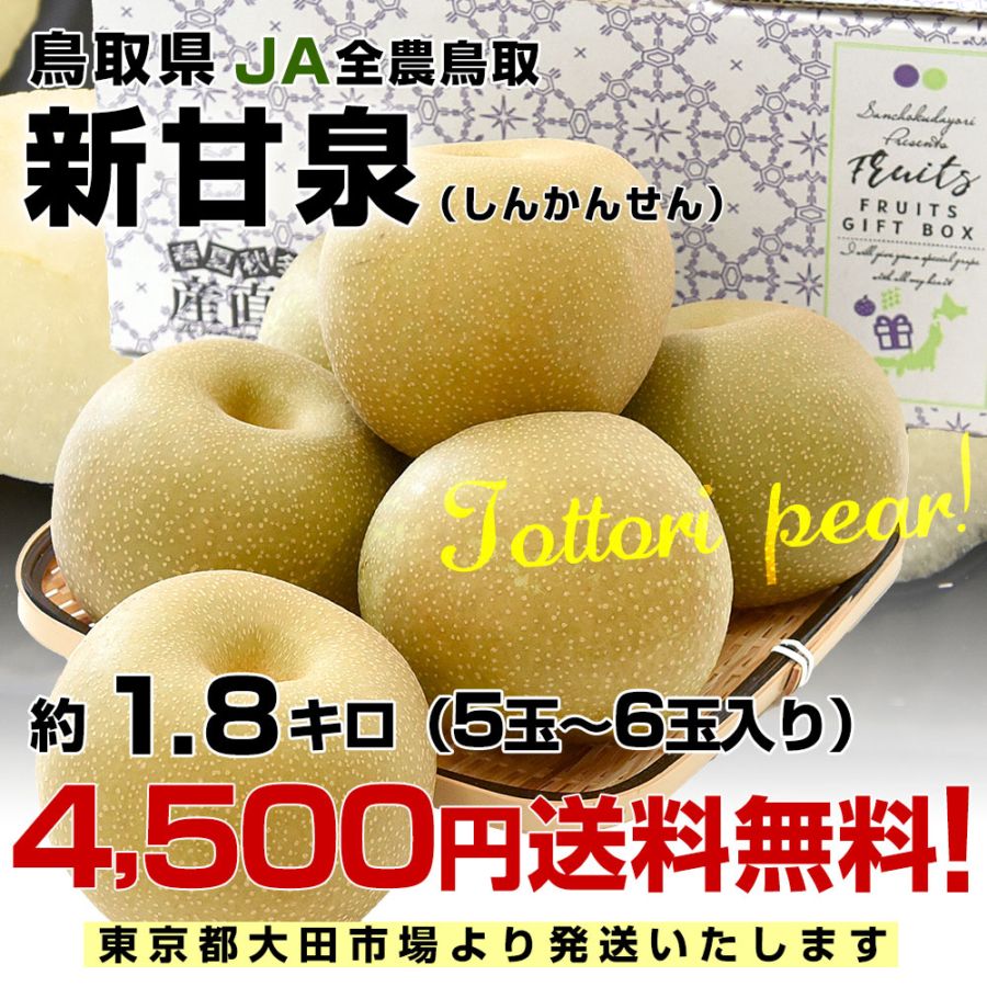 鳥取県産 JA全農鳥取 新甘泉梨 約1.8キロ（5玉から6玉入り）送料無料