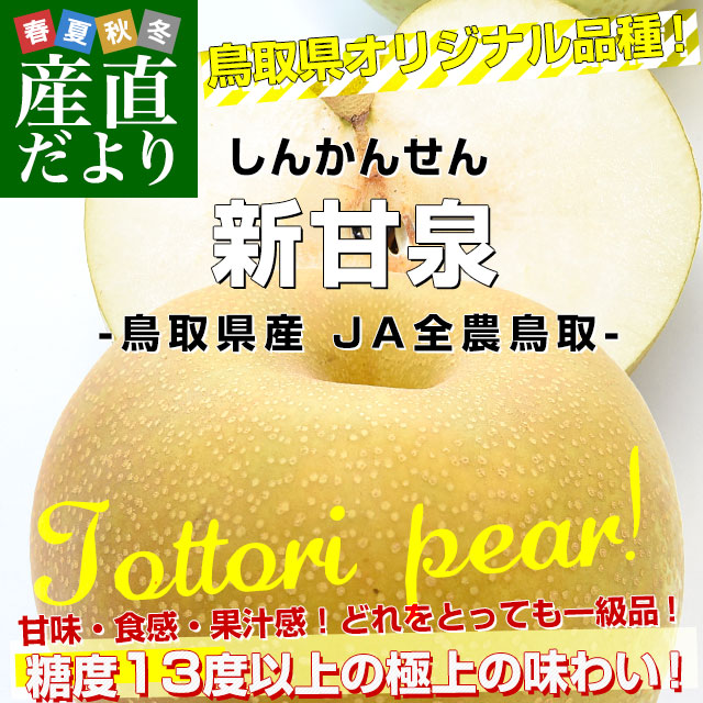 鳥取県産 JA全農鳥取 新甘泉梨 約1.8キロ（5玉から6玉入り）送料無料