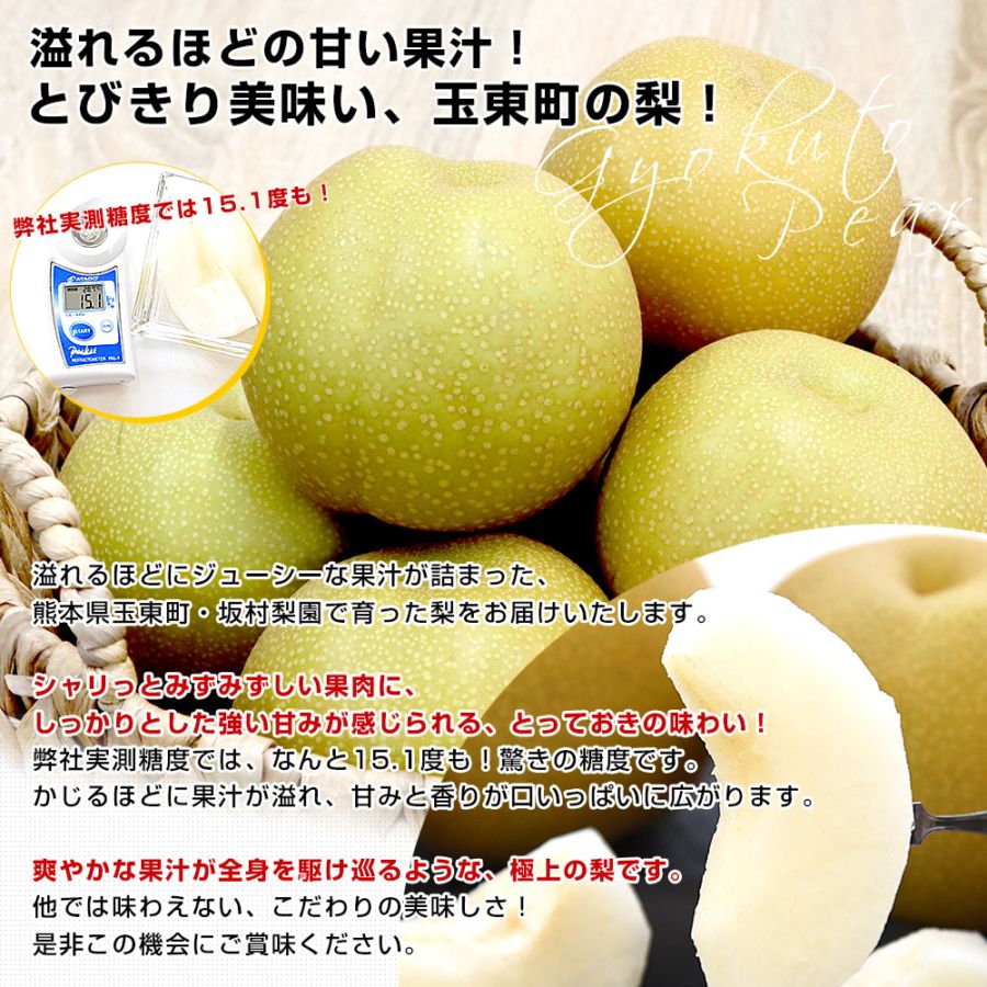 熊本県から産地直送 玉東町 坂村梨園 玉東梨 あきづき 秀品 約3キロ（8