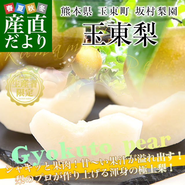 熊本県から産地直送 玉東町 坂村梨園 玉東梨 あきづき 秀品 約3キロ（8