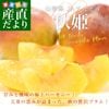 ���������黺��ľ�� JA�Ƥ�ɤ� ��ɱ ���� ��1.2���� (6�̤���12��) ����̵�� �����Ҥ� �ץ�� �פ�� ����� �����