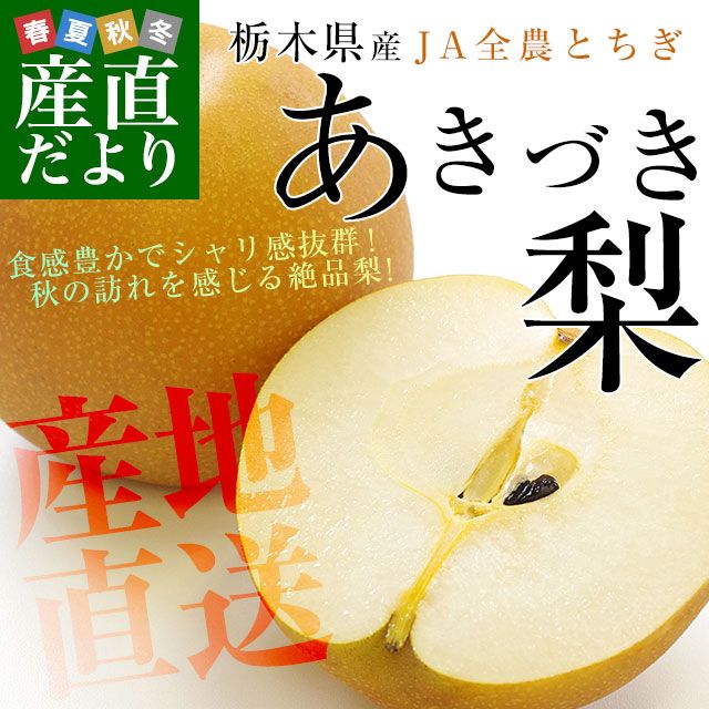 ڸ껺ľ JAȤ Ť ͥʰʾ 5 (8̤16) ʤ ʥ̵