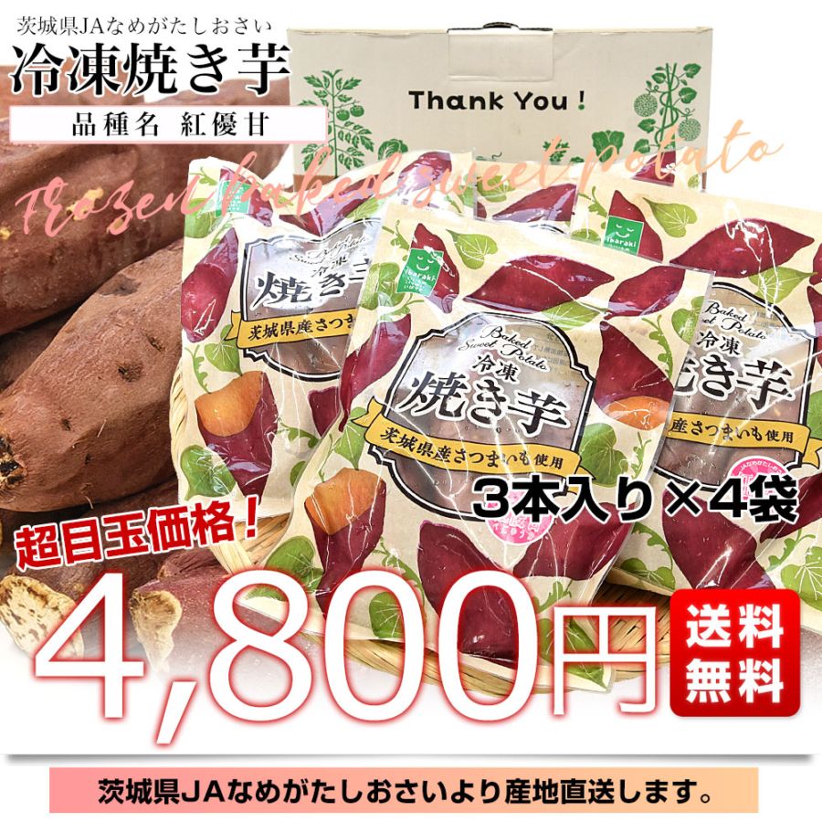 冷蔵便】紅ひゆな/红苋菜/红米苋/長野県産/約10kg入/