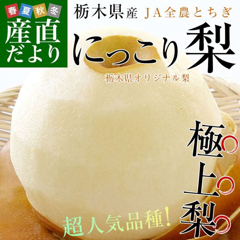 栃木県産 JA全農とちぎ にっこり梨 大玉 5キロ (4玉から6玉) 優品以上