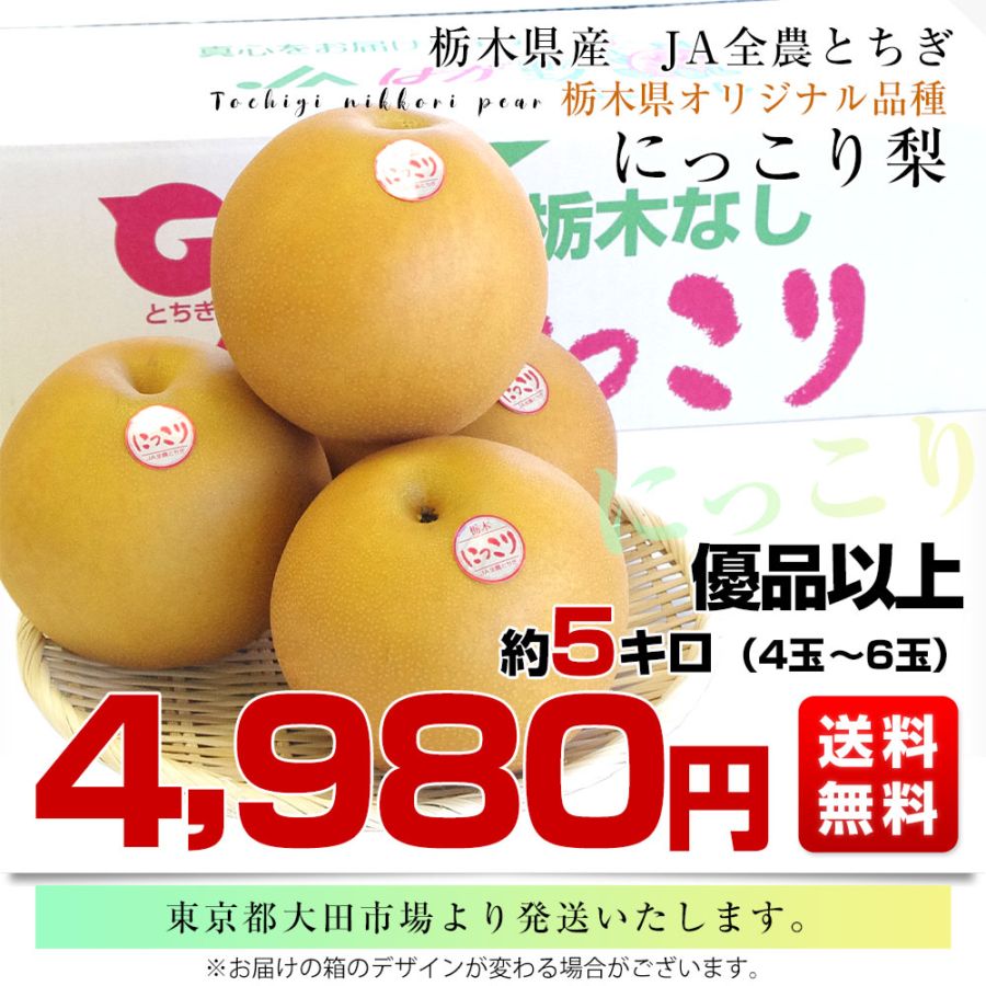 栃木県産 JA全農とちぎ にっこり梨 大玉 5キロ (4玉から6玉) 優品以上