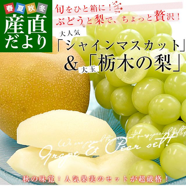 ��������Ĺ����㥤��ޥ����å�1˼(��500g)�����ڻ������2��(�����700g)������̵����˭�����������Ť������֤ɤ����ʤ�