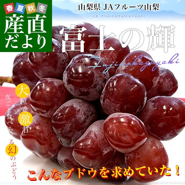 山梨県産 JAフルーツ山梨 富士の輝 約1.1キロ(2房) 送料無料 種無し