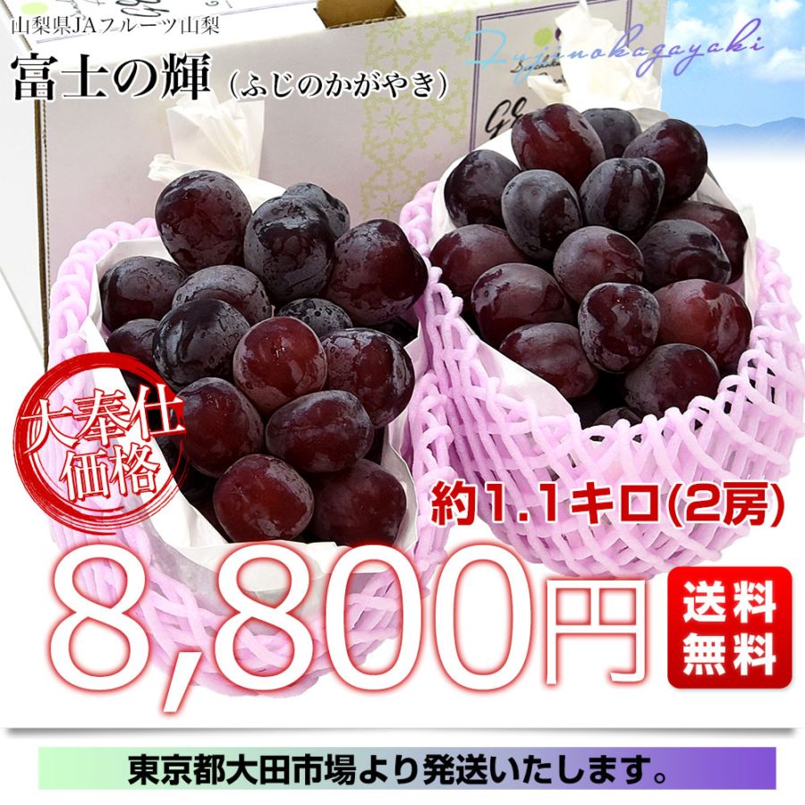 山梨県産 JAフルーツ山梨 富士の輝 約1.1キロ(2房) 送料無料 種無し