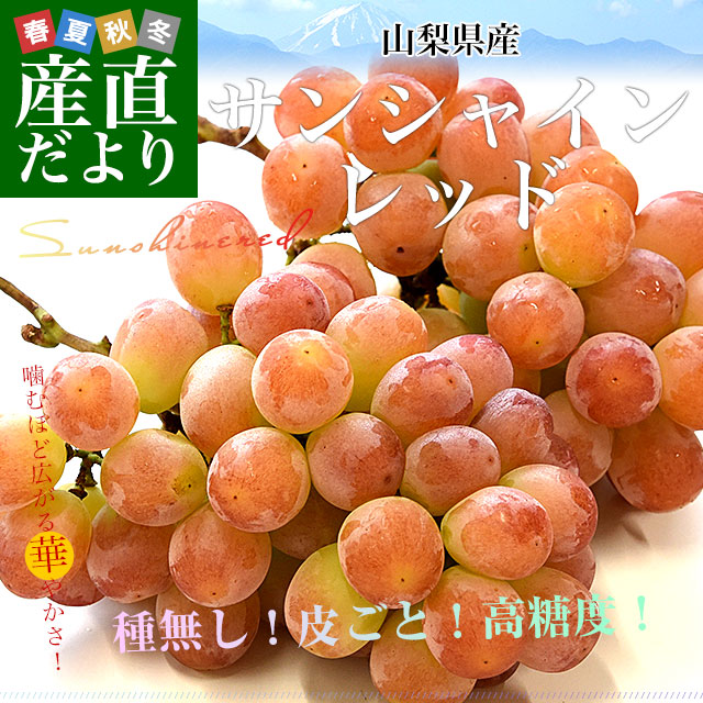 �������� ���󥷥㥤���å� ��900g��2˼�� ����̵�� ��̵���֤ɤ� �֥֥ɥ�