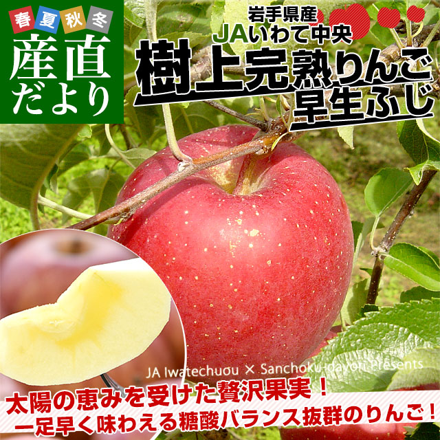 岩手県から産地直送 JAいわて中央 樹上完熟りんご「早生ふじ」等級:特