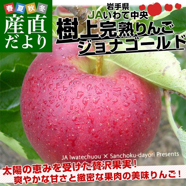 ジョナりんご様 岩手県から産地直送 JAいわて中央 樹上完熟りんご「ジョナ