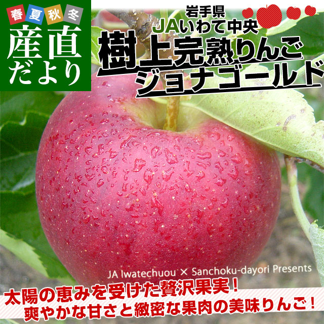 りんご BAIKAL】幸せのつむぎパイ～りんご～（10個入）［ 京都 スイーツ