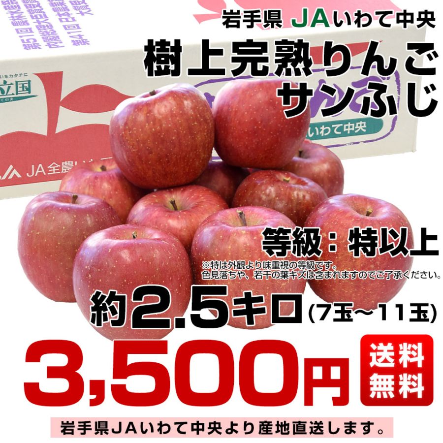 岩手県から産地直送 JAいわて中央 樹上完熟りんご「サンふじ」等級：特