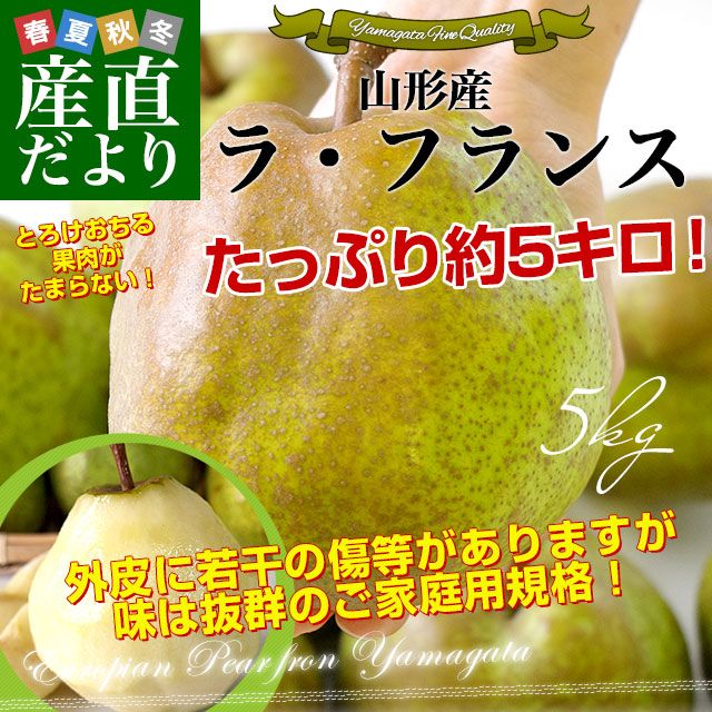 �������� �������ѥ�ե����5������12�̤���20�̡�����̵�� �顦�ե�� �Τʤ� ����