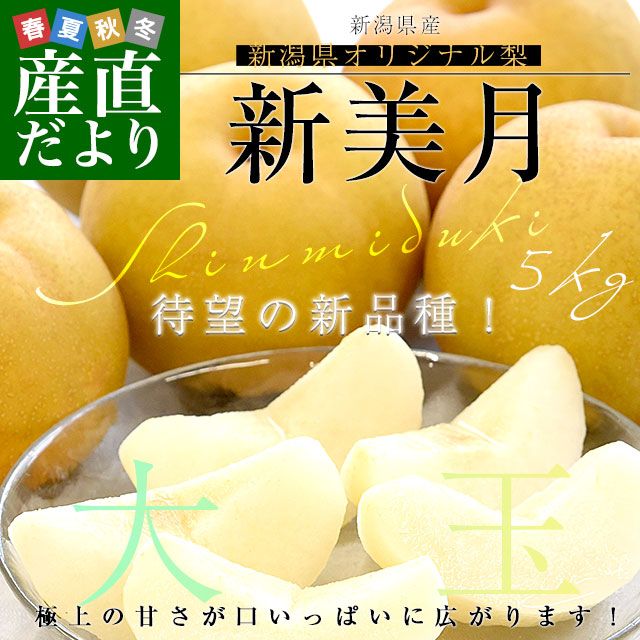���㸩�� ������ʤ���ߤŤ��� ��� ��5����(10�̤���14��) ����̵�� ����ߤ��� �����������ʤ�
