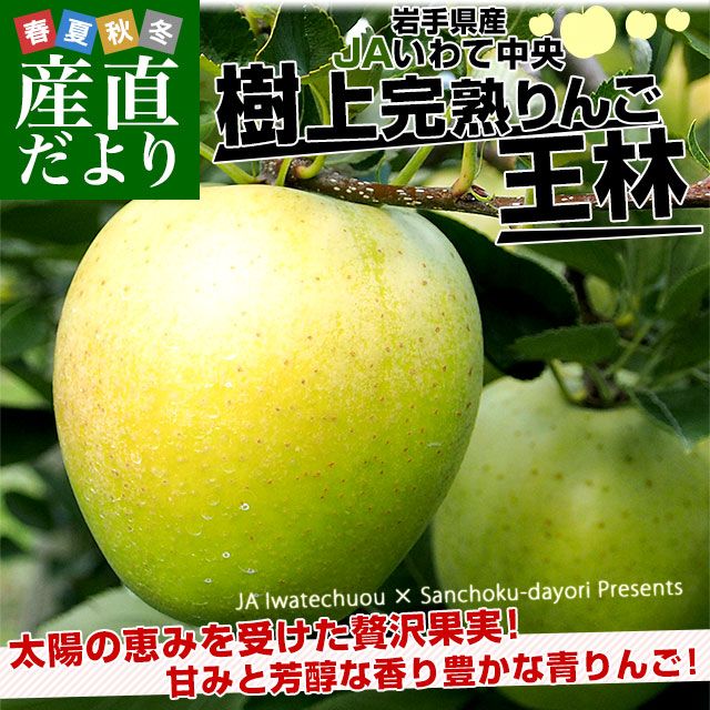 ��긩���黺��ľ�� JA�������� ���崰�Ϥ�󤴡ֲ��ӡ����顧�ðʾ� ��2.5������8�̤���11�̡�����̵�� ��� �Ӹ� ��� �������