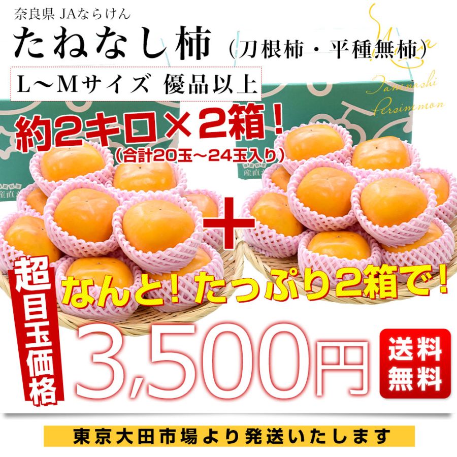 奈良県 JAならけん たねなし柿（刀根柿・平種無柿）優品以上 LからM