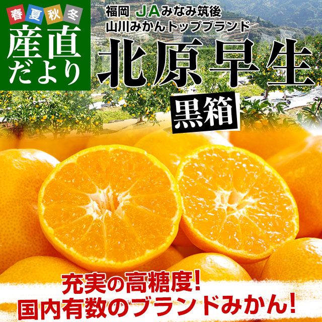 ʡ JAߤʤ޸ ߤ ȥåץ֥ ̸  MS 440̤50̵ Ȣ Ľʾ ̪ ߥ