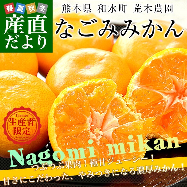 熊本県から産地直送 和水町 荒木農園 なごみみかん 秀品 MからSサイズ