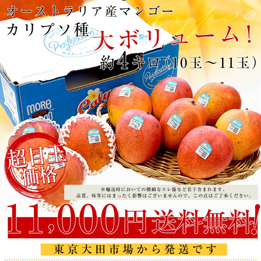 オーストラリア産 マンゴー カリプソ種 約4キロ (10玉から11玉) 送料
