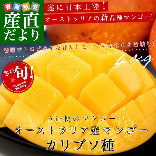 オーストラリア産 マンゴー カリプソ種 約4キロ (10玉から11玉) 送料