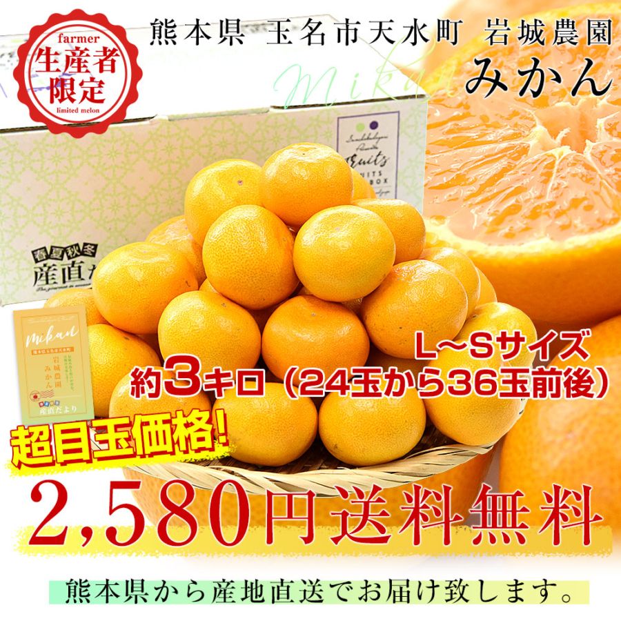熊本県から産地直送 玉名市天水町 岩城農園 みかん LからSサイズ 約3