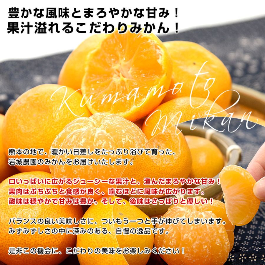 熊本県から産地直送 玉名市天水町 岩城農園 みかん LからSサイズ 約3