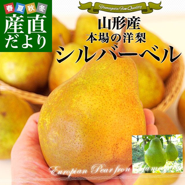 ������������������С��٥� ���ʰʾ� 3���� (5�̤���10��) ����̵�� ������