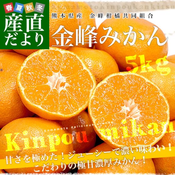 熊本県産 金峰柑橘共同組合 金峰みかん 赤秀品 MからSサイズ 約5キロ