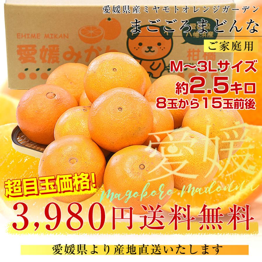 愛媛県より産地直送 まごころまどんな（愛媛果試第28号） ご家庭用 約