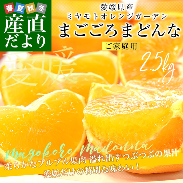 愛媛県より産地直送 まごころまどんな（愛媛果試第28号） ご家庭用 約