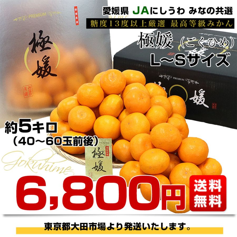 愛媛県 JAにしうわ みなの共選 最上位等級みかん「極媛(ごくひめ)」約5