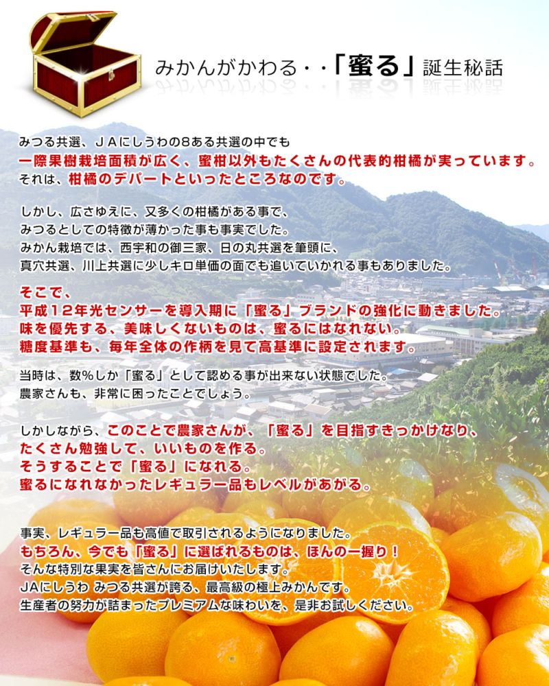 2026年発送】愛媛県産 JAにしうわ みつる共選 プレミアム西宇和みかん