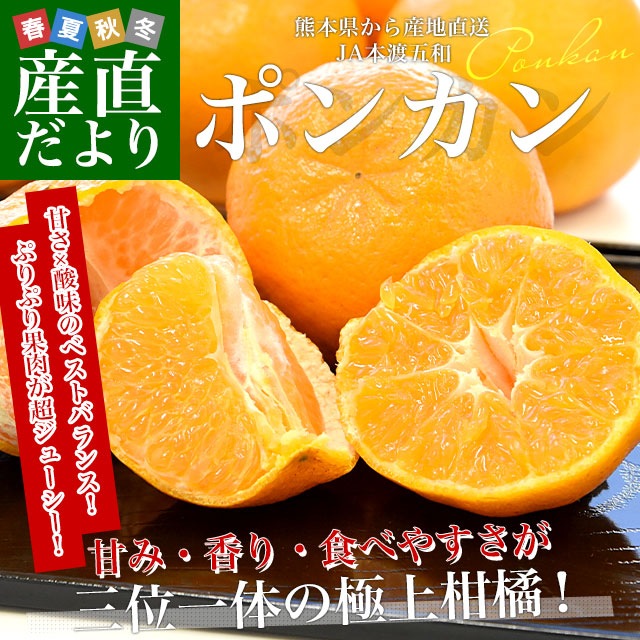 熊本県から産地直送 JA本渡五和 ポンカン 化粧箱 Lから2Lサイズ 約5