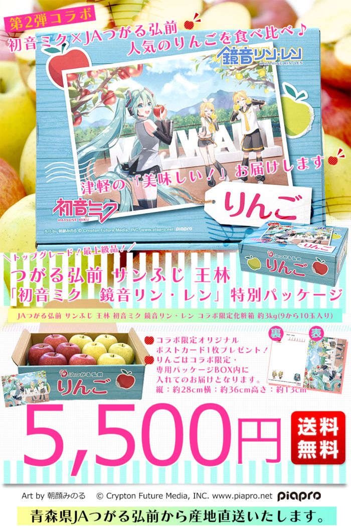 青森県より産地直送 JAつがる弘前 サンふじ 王林 最上級品 初音ミク 鏡