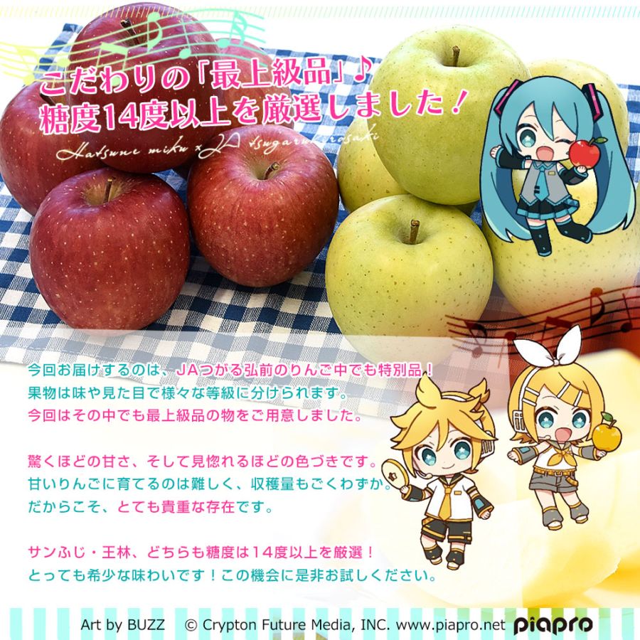 青森県より産地直送 JAつがる弘前 サンふじ 王林 最上級品 初音ミク 鏡