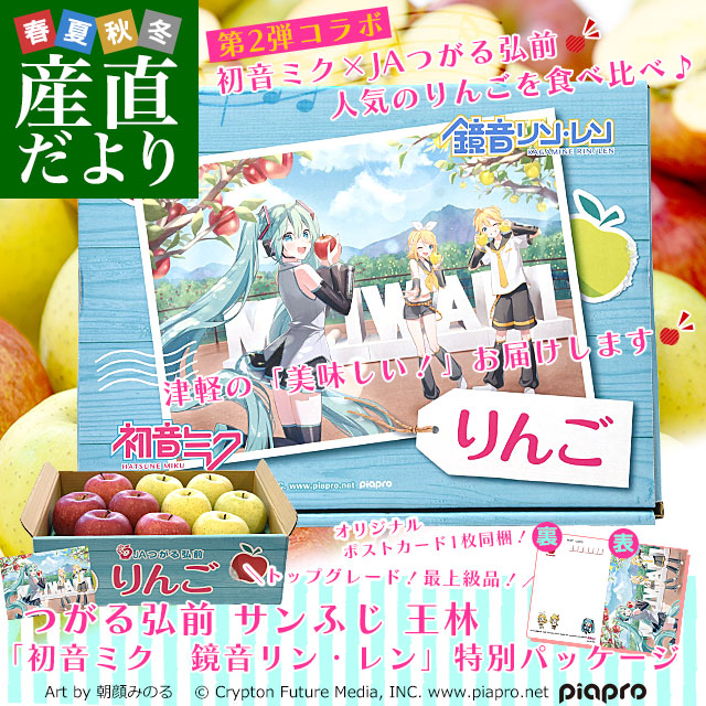 青森県より産地直送 JAつがる弘前 サンふじ 王林 最上級品 初音ミク 鏡