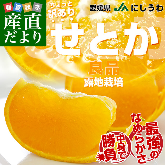 ��ɲ�� JA�ˤ����� ���Ȥ� Ϫ�Ϻ��� ���� ����ä������� ��2.5���� 3L����L������ (8�̤���13��) ����̵�� ���ȥ� ������