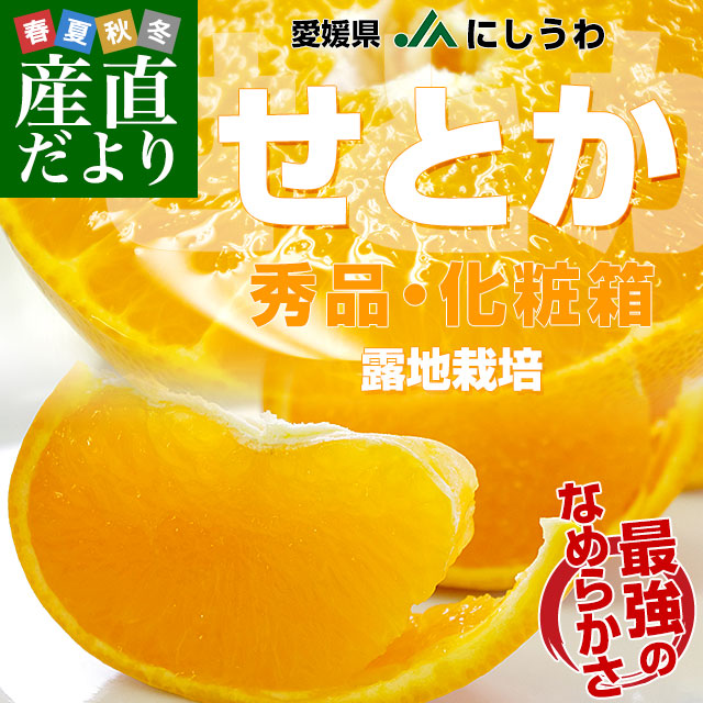 ��ɲ����껺��ľ�� JA�ˤ����� ���Ȥ� Ϫ�Ϻ��� ���� 3L����2L������ 3��������Ȣ��10�̤���12�̡�����̵�� ���ȥ� ������