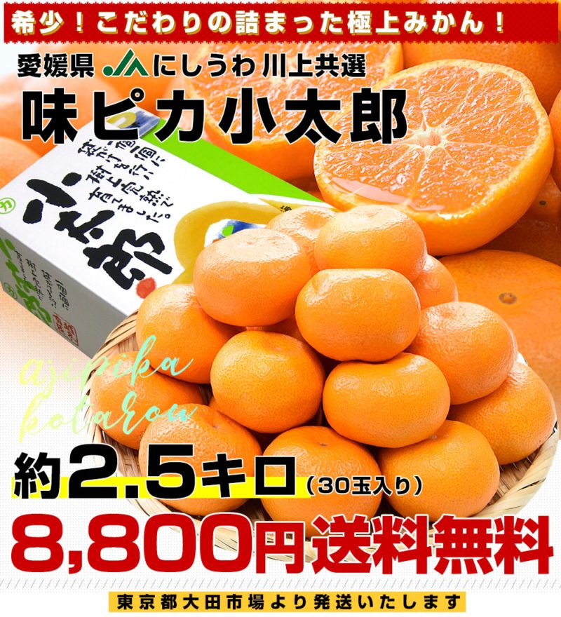 愛媛県産 JAにしうわ 川上共選 味ピカ小太郎 2.5キロ化粧箱(30個入り