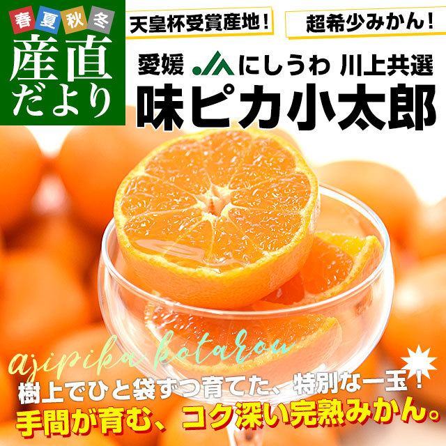 愛媛県産 JAにしうわ 川上共選 味ピカ小太郎 2.5キロ化粧箱(30個入り