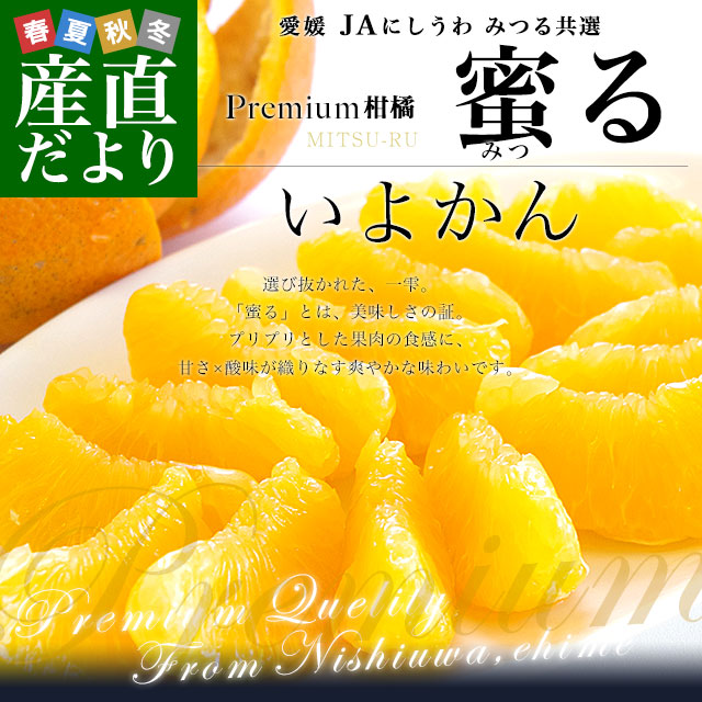 愛媛県産 JAにしうわ みつる共選 プレミアムいよかん 蜜る（みつる