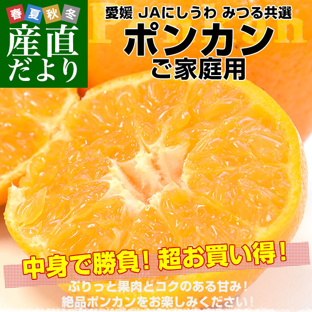 ��ɲ���� JA�ˤ����� �ߤĤ붦�� �ݥ󥫥� �������� 2L����L������ ��3������16�̤���24������� ����̵�� �ˤ����� �ݤ󤫤� ���� ������